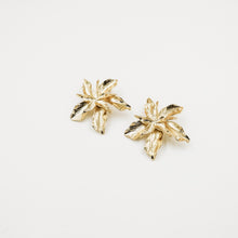 Load image into Gallery viewer, Anielle Earrings
